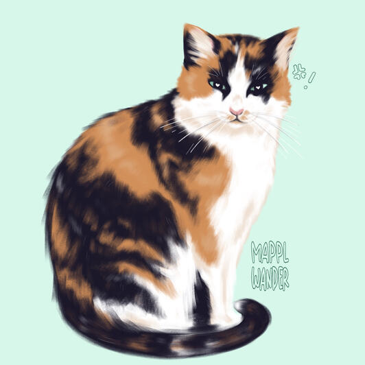 Cat portrait